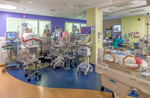 JoeDiMaggio2ndFloor_07 (7x10)